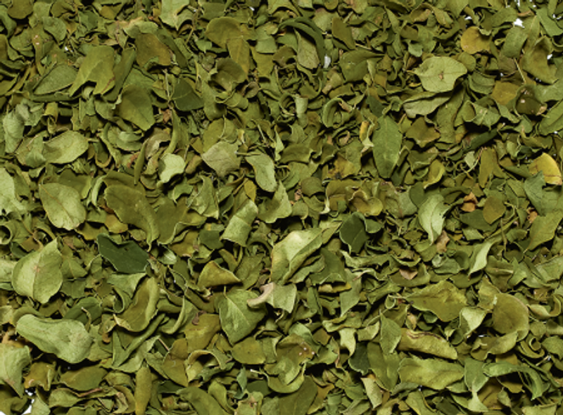 Moringa tea 500g Organic