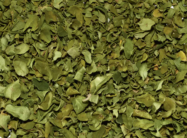 Hovedbilde Moringa te 500g økologisk
