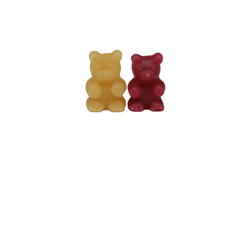 Organic Tea Bears Orange and raspberry 24pcs